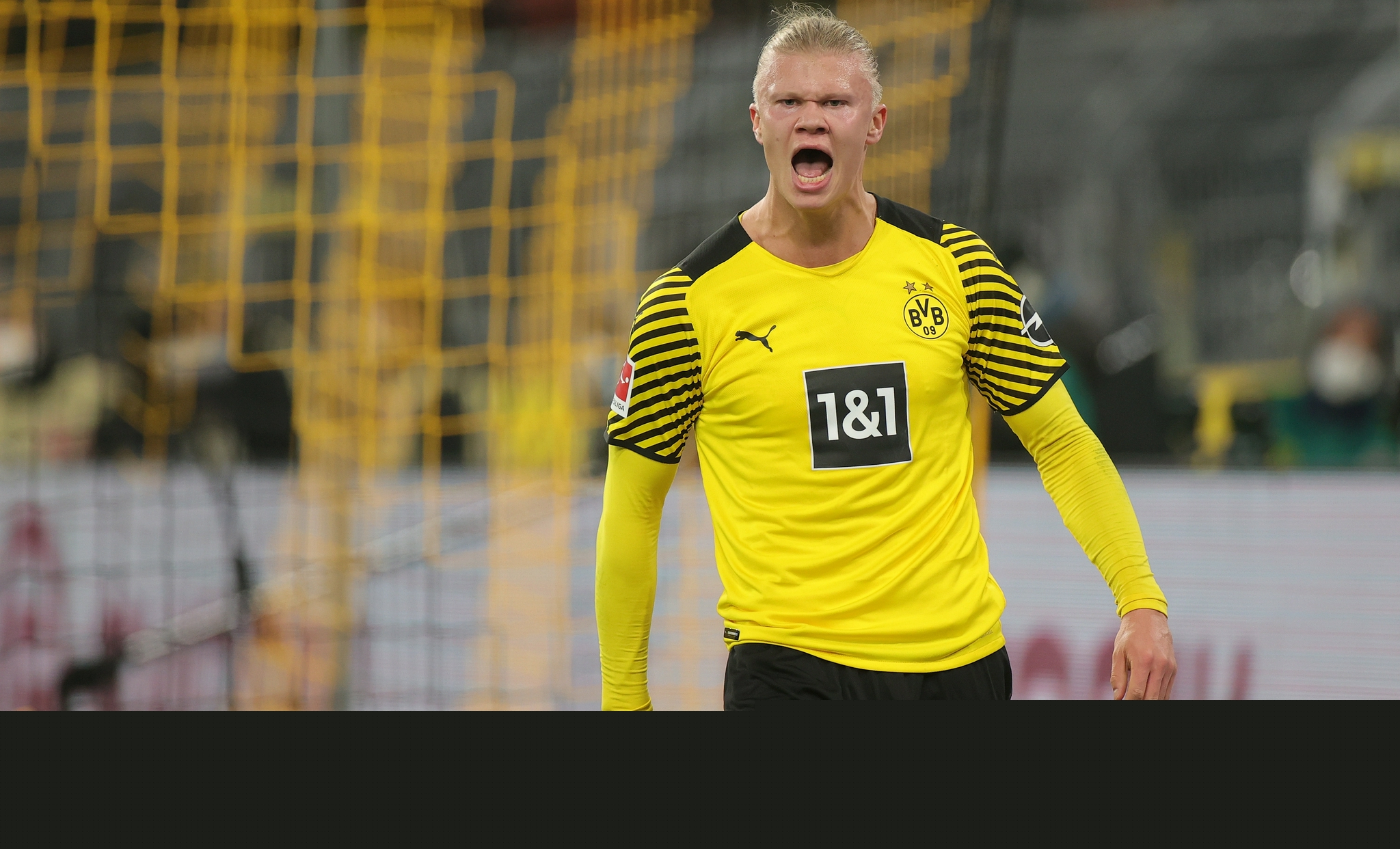 首页幻灯大图二